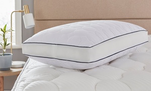 Sealy Zonal Support Pillow 