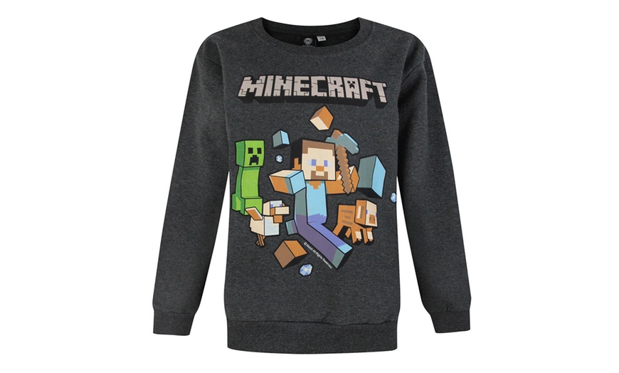 Image 15: Kids' Minecraft T-Shirt or Hoodie