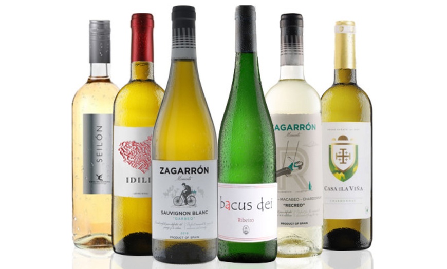 Image 1: Spanish White Wines Case