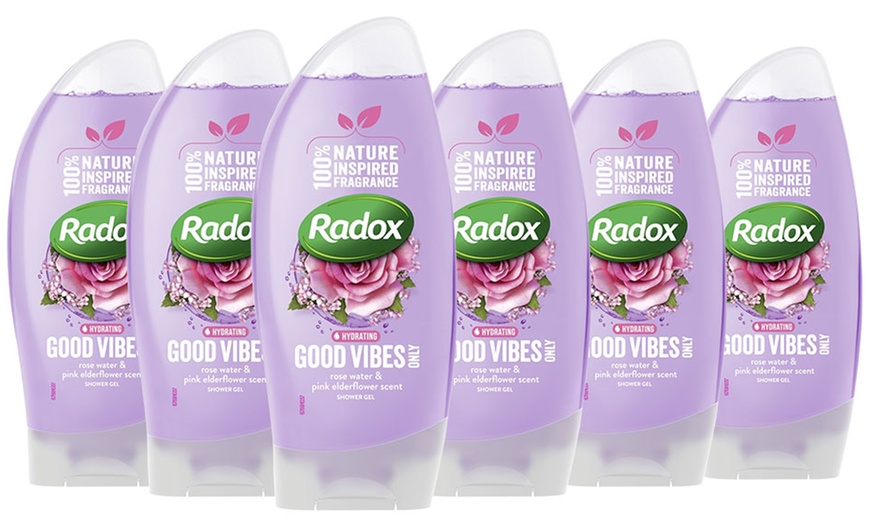 Image 13: Radox Shower Gel Six-Pack