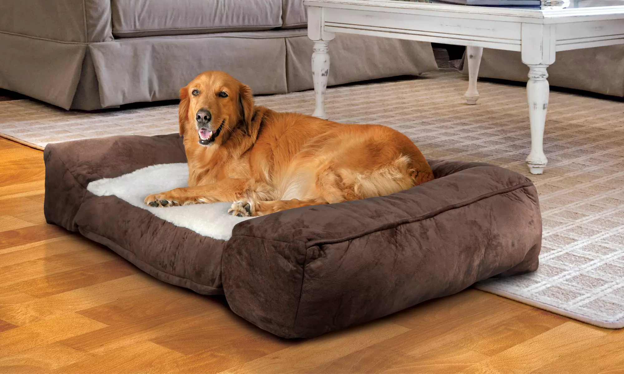 Animal Planet Memory Foam Pet Lounger - Primary Image