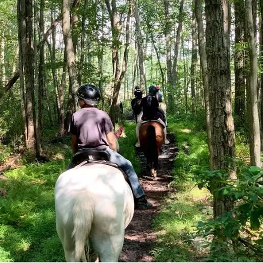 For One, Two, or Three People: One Hour Guided Trail Ride at Jim Thorpe Horse Adventures (Up to 24% Off) - Primary Image
