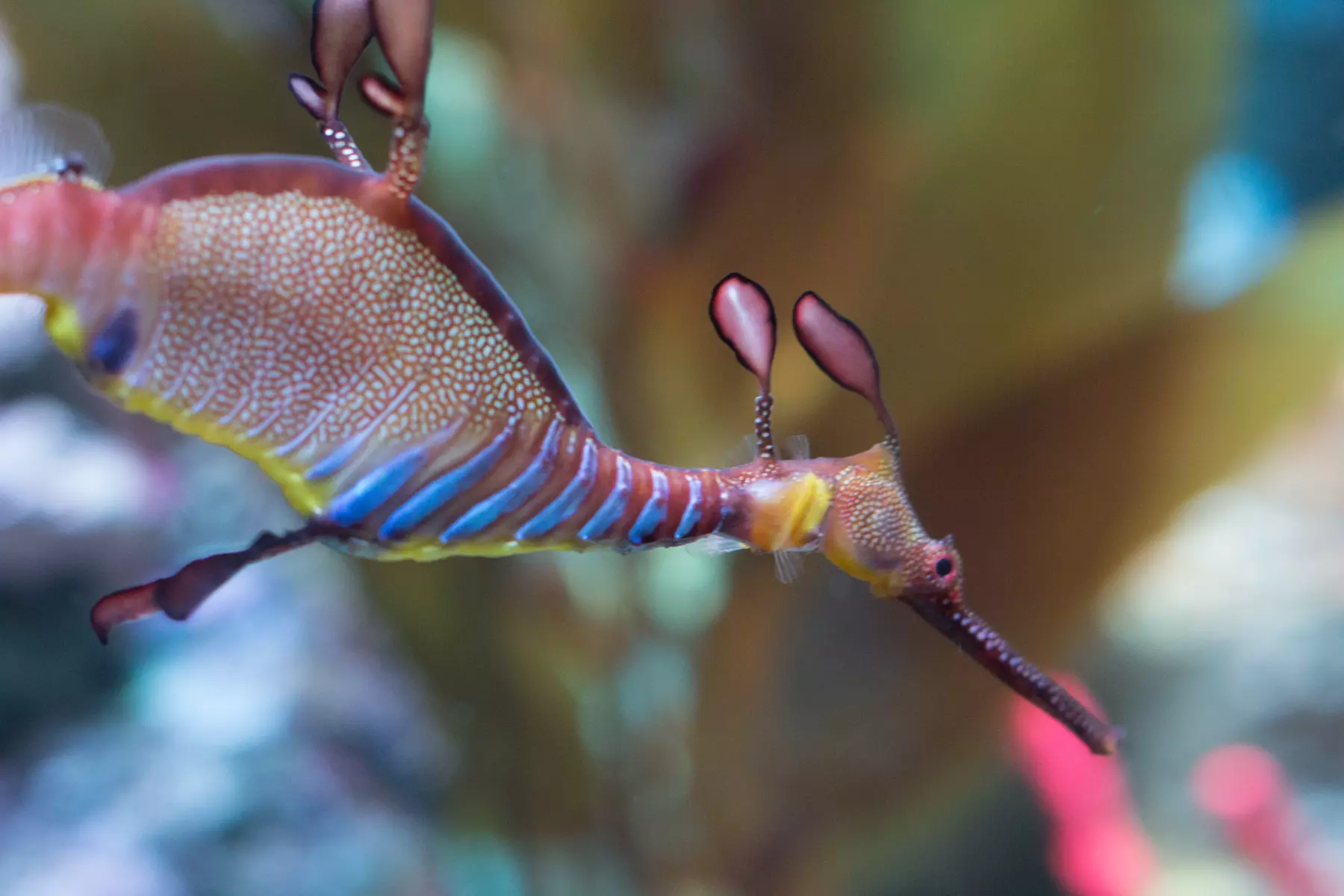 CityPASS- Save up to 46% on Admission to Top Boston Attractions