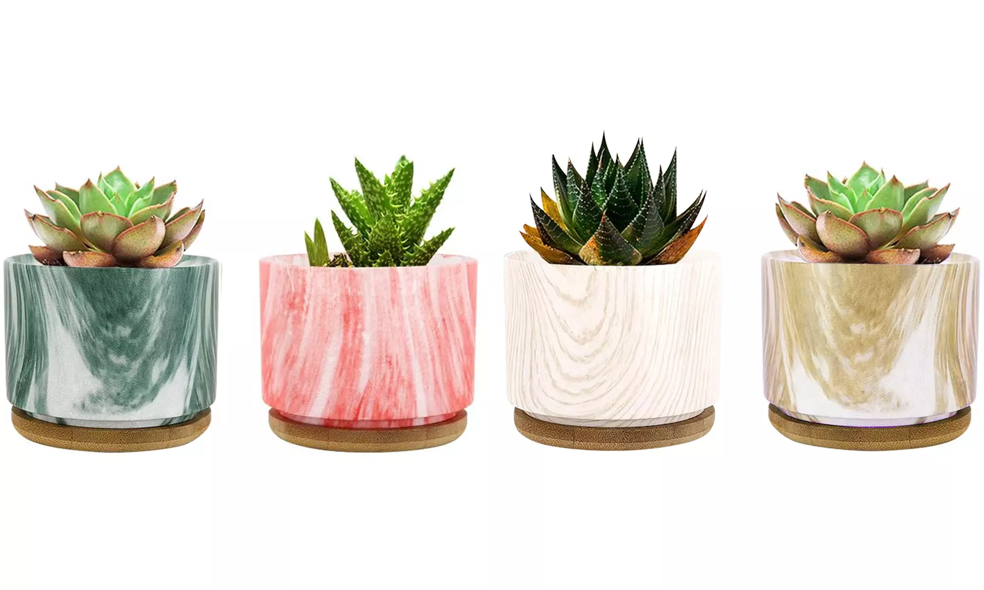 Lot de 3 pots de fleurs en céramique pour succulentes