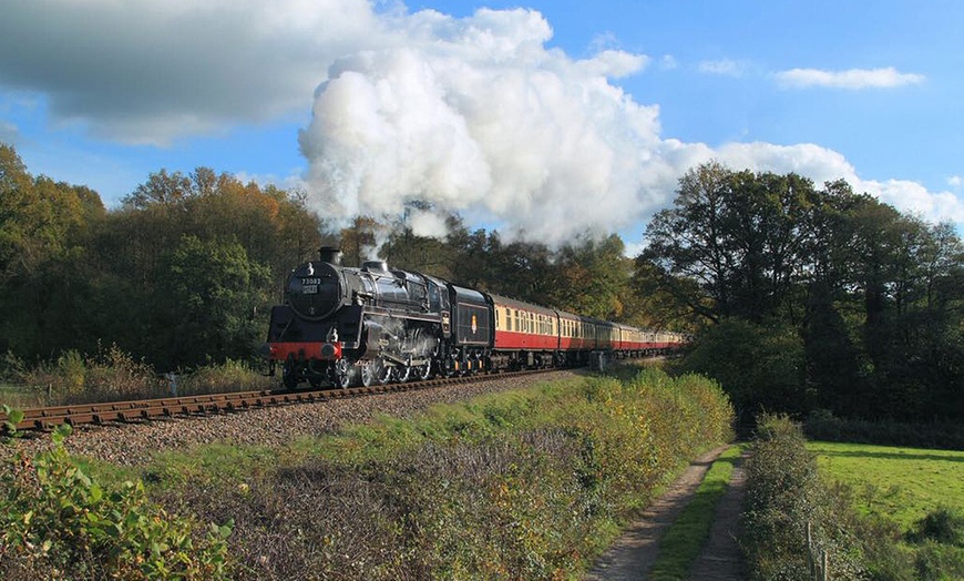 Image 3: Step Back in Time: Experience the Magic of the Bluebell Railway 