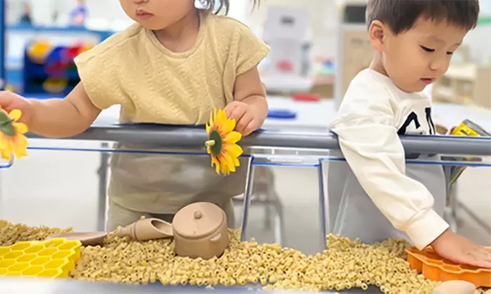 Indoor Playtime Fun for Kids with Admission Options