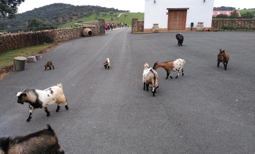 Image 25: Hasta 56% de dto. en CENTRO ANDALUZ DE LA FAUNA SALVAJE