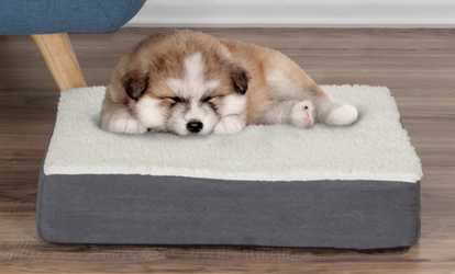 Petmaker Orthopedic Sherpa Top Pet Bed with Memory Foam