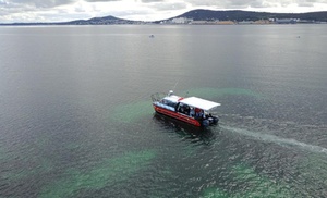 Two-Hour Island Boat Tour 