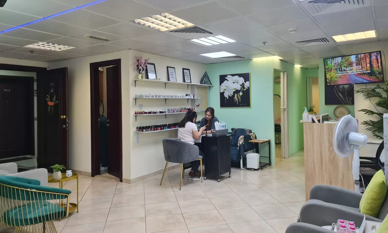 Choice of Individual 3D, 2D, Natural, or Volume Eyelash Extensions