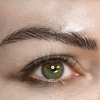 Image 9: Get Eyebrow Tattoo Session - Microshading or Hair Stroke