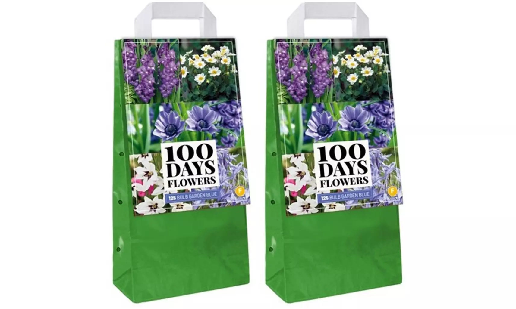 125x oder 250x Blaue Sommerpflanzen-Zwiebel-Mischung - Second Medium