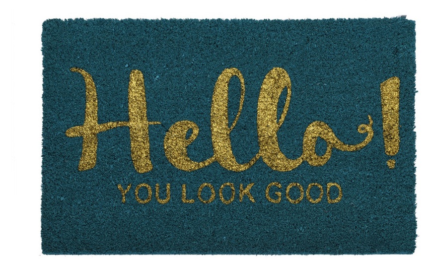 Image 6: Novelty Door Mat