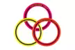 Aerobie Pro or Sprint Ring Frisbee - Image 7