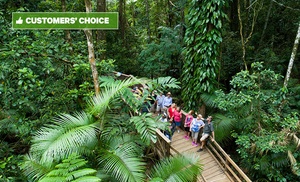 Daintree, Cape Trib and Bloomfield: 1-Day Safari Experience