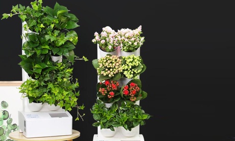Giardino verticale con vasi autoinnaffianti disponibile in 2 modelli