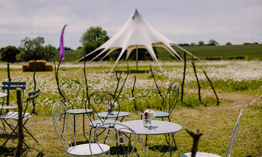 Image 17: Discover Beautiful Lavender Fields & Afternoon Tea at Finchingfield Camping with Up to 33% Off!