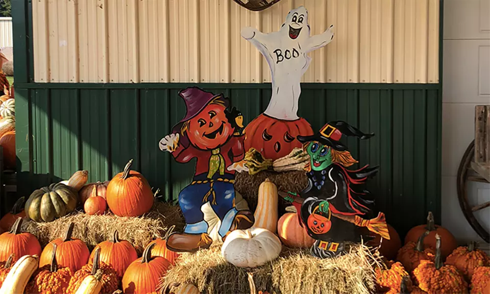 Single-Day Unlimited Pass for One, Two, or Four to Naylor Family Farm on Saturday or Sunday (Up to 48% Off) - Second Medium