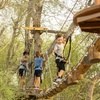 Image 14: Iconic Ziplines, Treetop Circuits & Outdoor Fun for All Ages