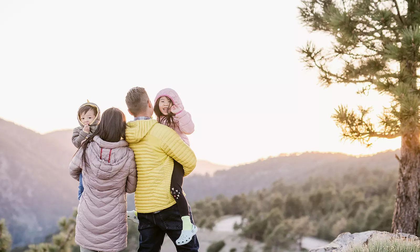 Hotel Stay at Grand Pine Cabins in Wrightwood, CA - Primary Image