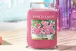 Yankee Candle Large Candles from £13.99 - Image 5