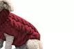 Knitted Dog Jumper - Second Medium