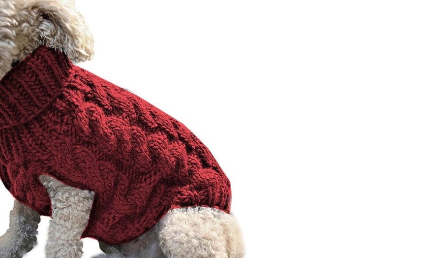 Image 3: Knitted Dog Jumper