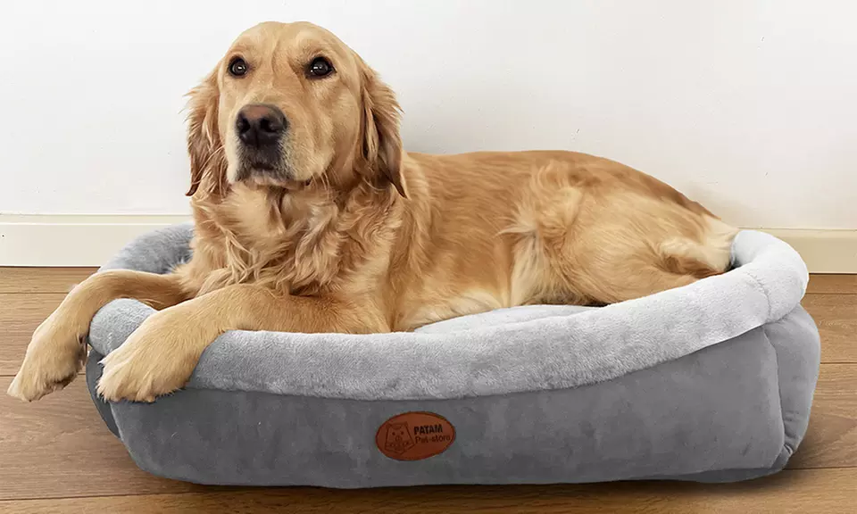 Cucce, lettini e divanetti per cani e gatti in vari modelli e misure