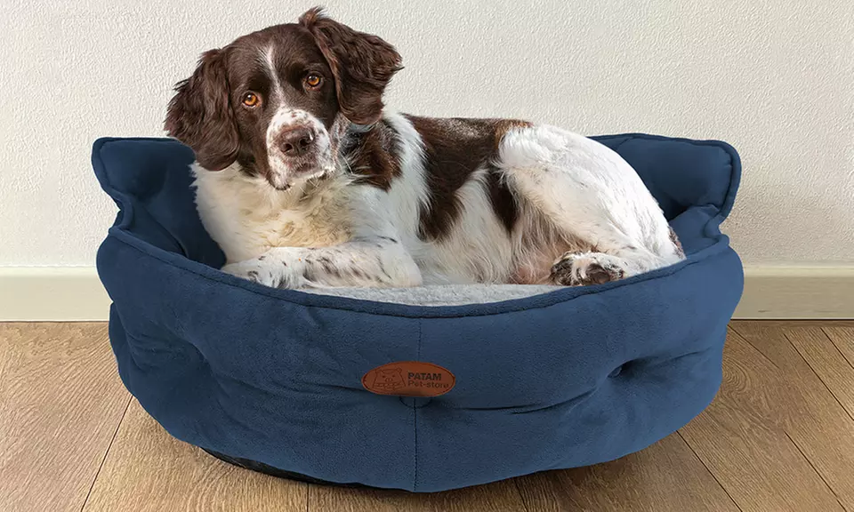 Cucce, lettini e divanetti per cani e gatti in vari modelli e misure