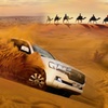 Image 1: VIP Half-Day Desert Safari with Liwa Adventure Tours And Safari