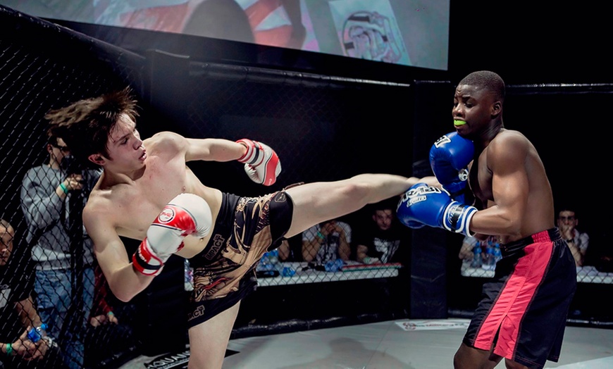 Image 3: Fury MMA Entry, Indigo at The O2