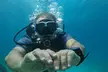 Experience Try Dive, Snorkeling Trip and Boat Trip at Paradise Blue Diving & Snorkeling Club (Up to 47% Off) - Image 4