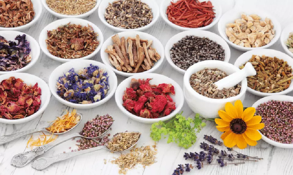 Le bien-être avant tout : familiarisez-vous avec l'herboristerie
