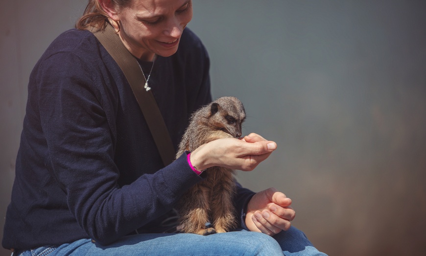 Image 4: Get Up Close with Mini Animals in a Junior Zookeeper Experience for 2