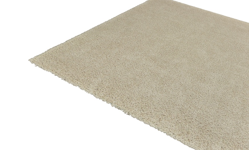 Image 11: Shaggy Carpet