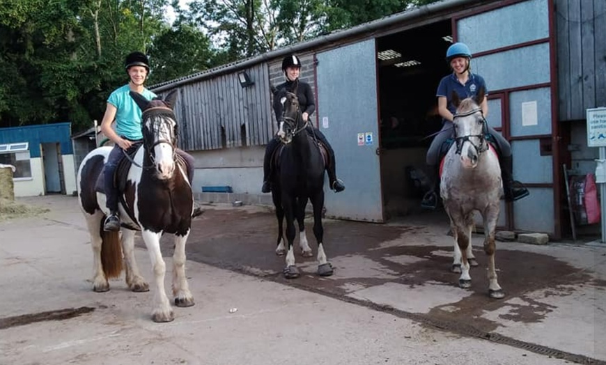 Image 13: Horse Riding and Trekking Lesson at SevernwyeEquestrian