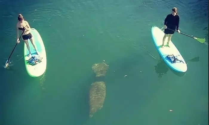 Up to 38% Off Homosassa Springs Kayak Rentals