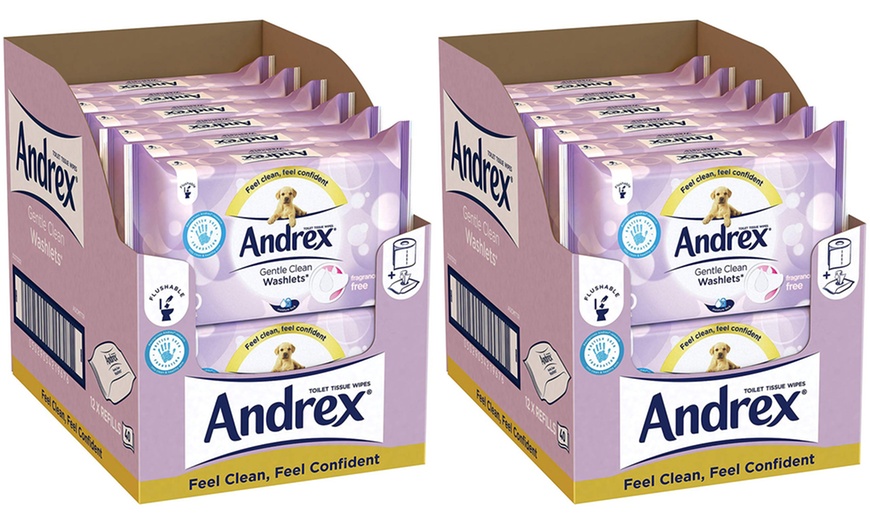 Image 8: Andrex Toilet Tissue Wipes