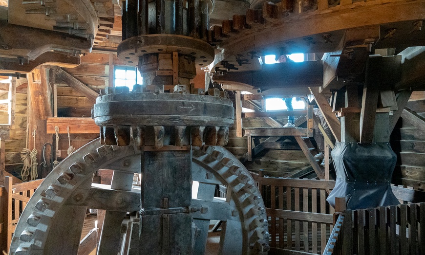 Image 15: Zaanse Schans Tour: vanuit Amsterdam in een Hop On Hop Off Holland bus