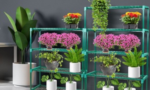 Set of Two Four-Tier or Five-Tier Greenhouse Plant Storage Racks