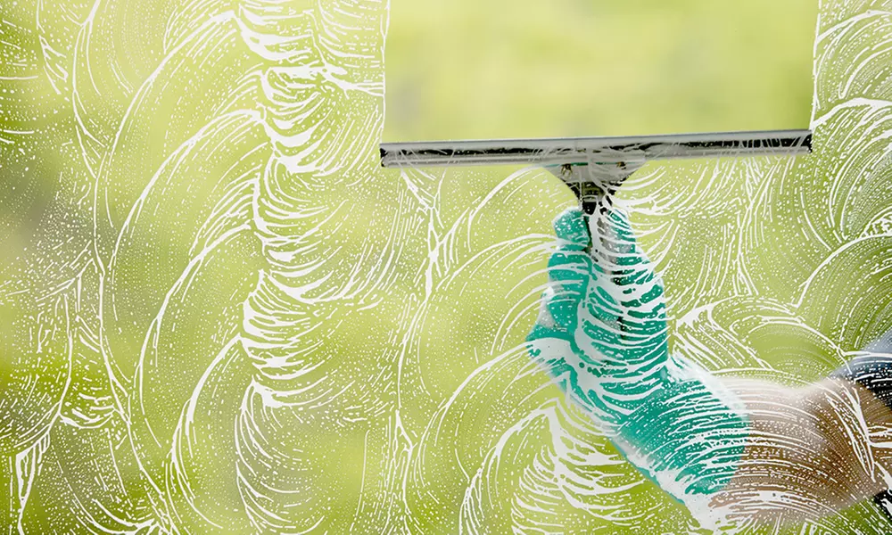 Window Cleaning and Restoration with Hard-Water Treatment from Worried Bird Window Washing (Up to 55% Off). - Primary Image