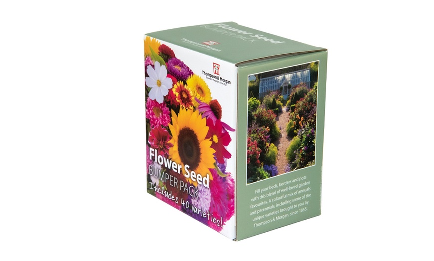 Image 10: Seed Grow Kit Flower Bumper Pack – 40 Varieties