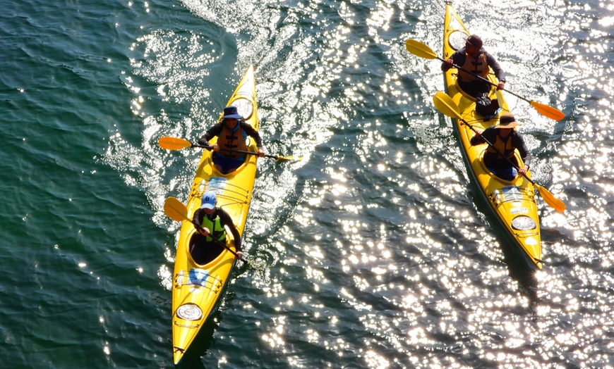 Image 2: Middle Harbour Guided Kayak Tour for Two