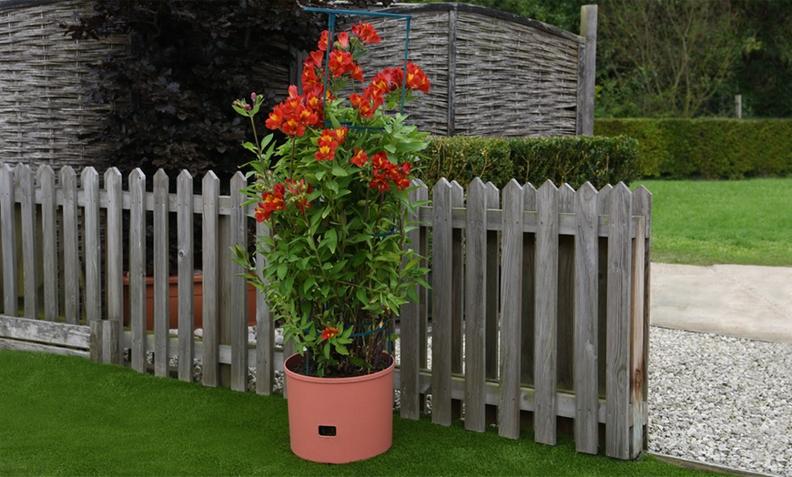 Image 5: Self-Watering Growing Tower