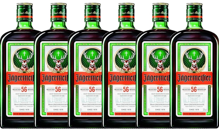 Image 1: Pack of Six Jagermeister Bottles 