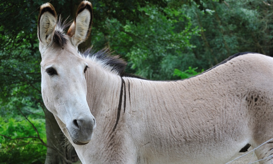 Image 8: Groombridge Place Entry: Child £7, Adult £8