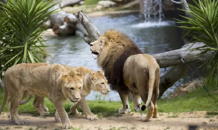 Tours : séjour en chambre double pour 2 personnes avec petit-déjeuner