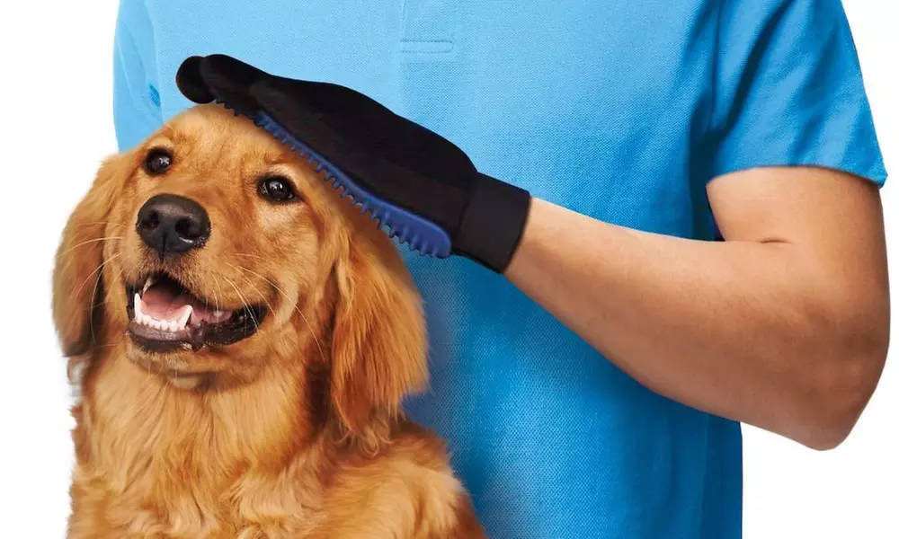 1 o 2 guanti per una spazzolatura delicata per animali - Primary Image