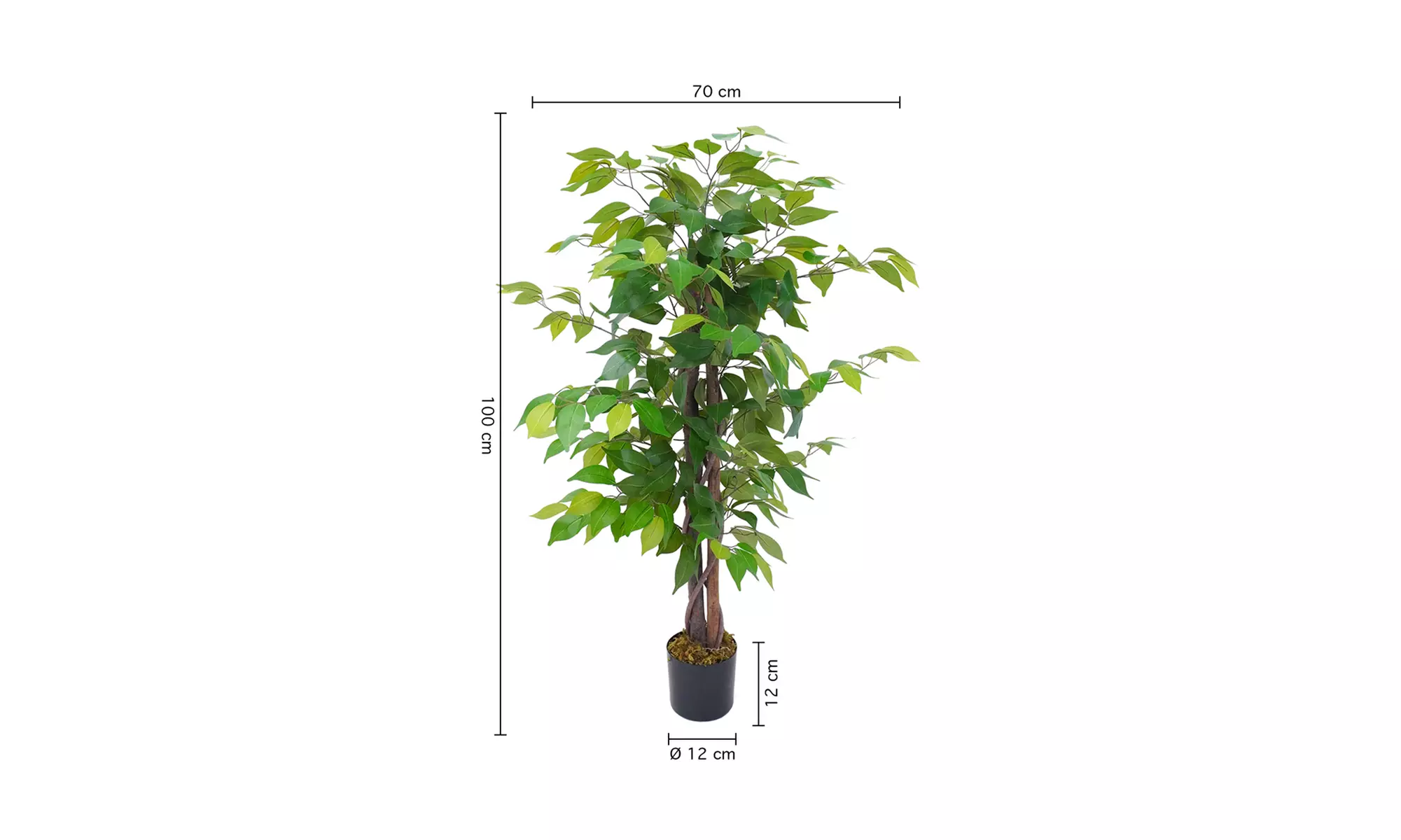 Collezione di piante finte da interno