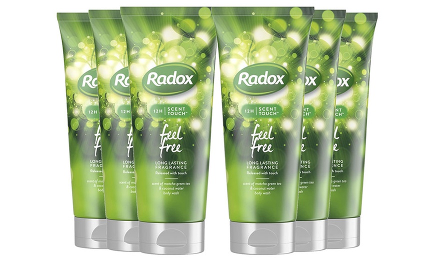 Image 3: Radox Body Wash Six-Pack